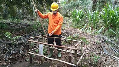 Petani Sawit, Para Penakluk Lahan Gambut images