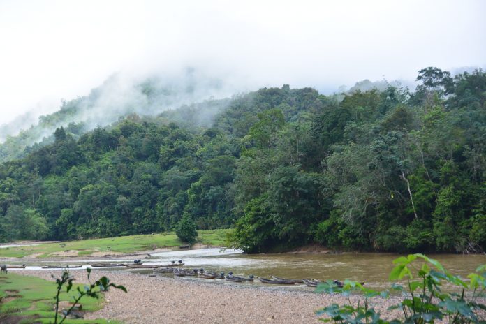 Menjaga Sungai Subayang, Demi Keseimbangan Alam images