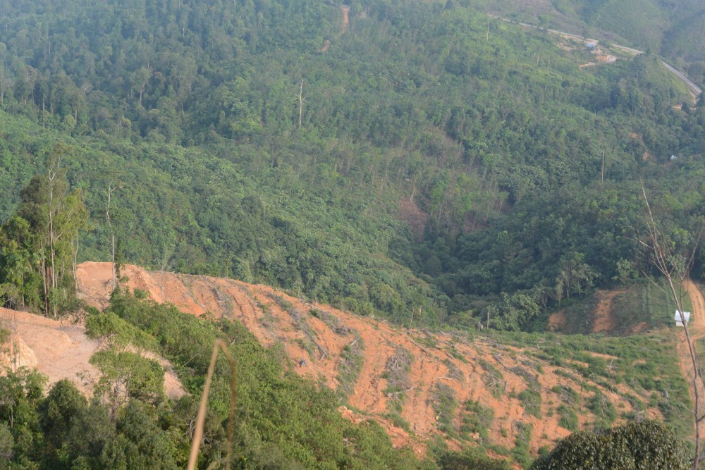 Ancaman Deforestasi Bukit Suligi Oleh Korporasi images