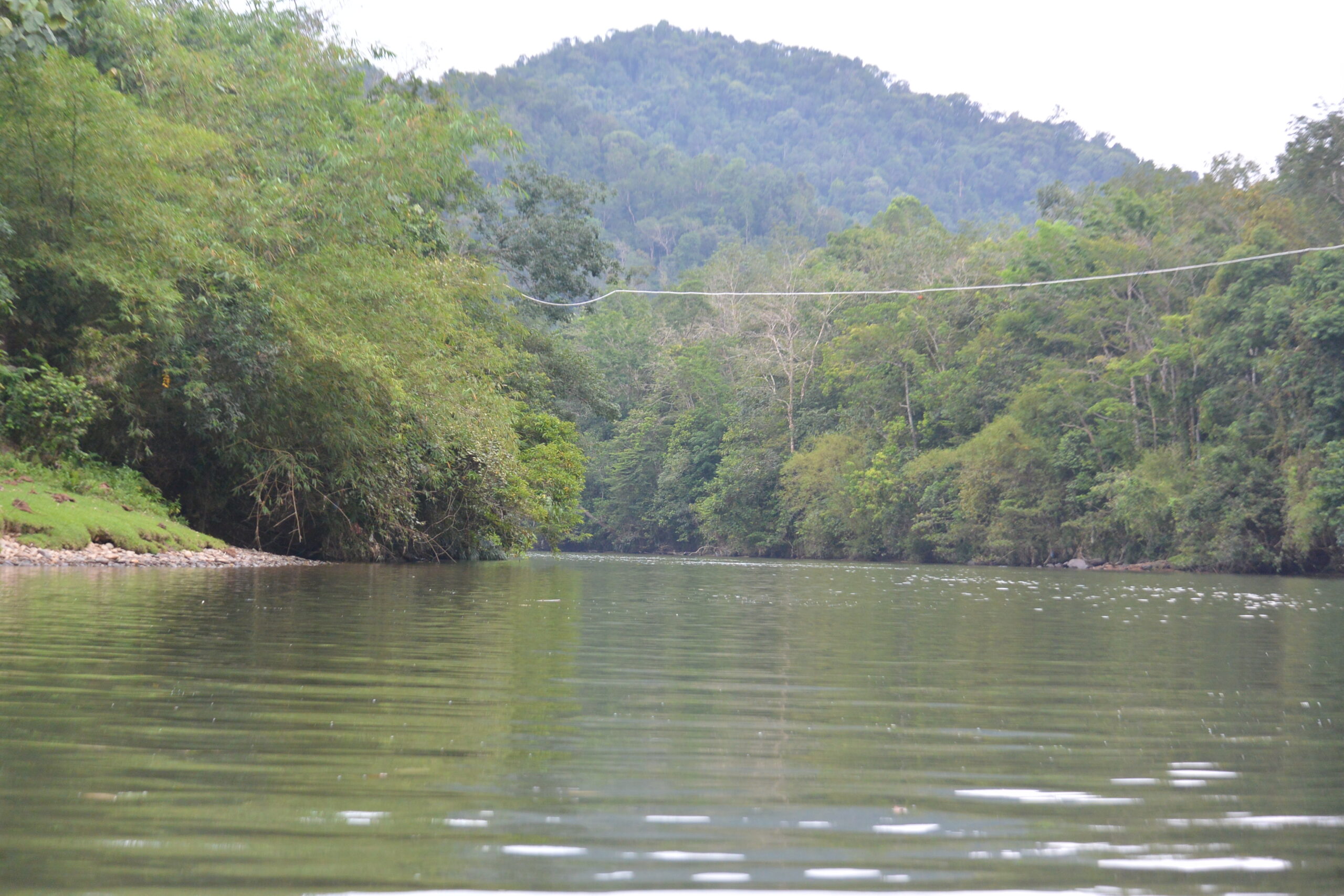 Belajar Kepada Sungai Subayang images