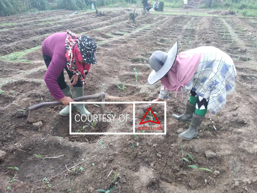 Keadilan Iklim Dan Hak Atas Sumber Agraria images