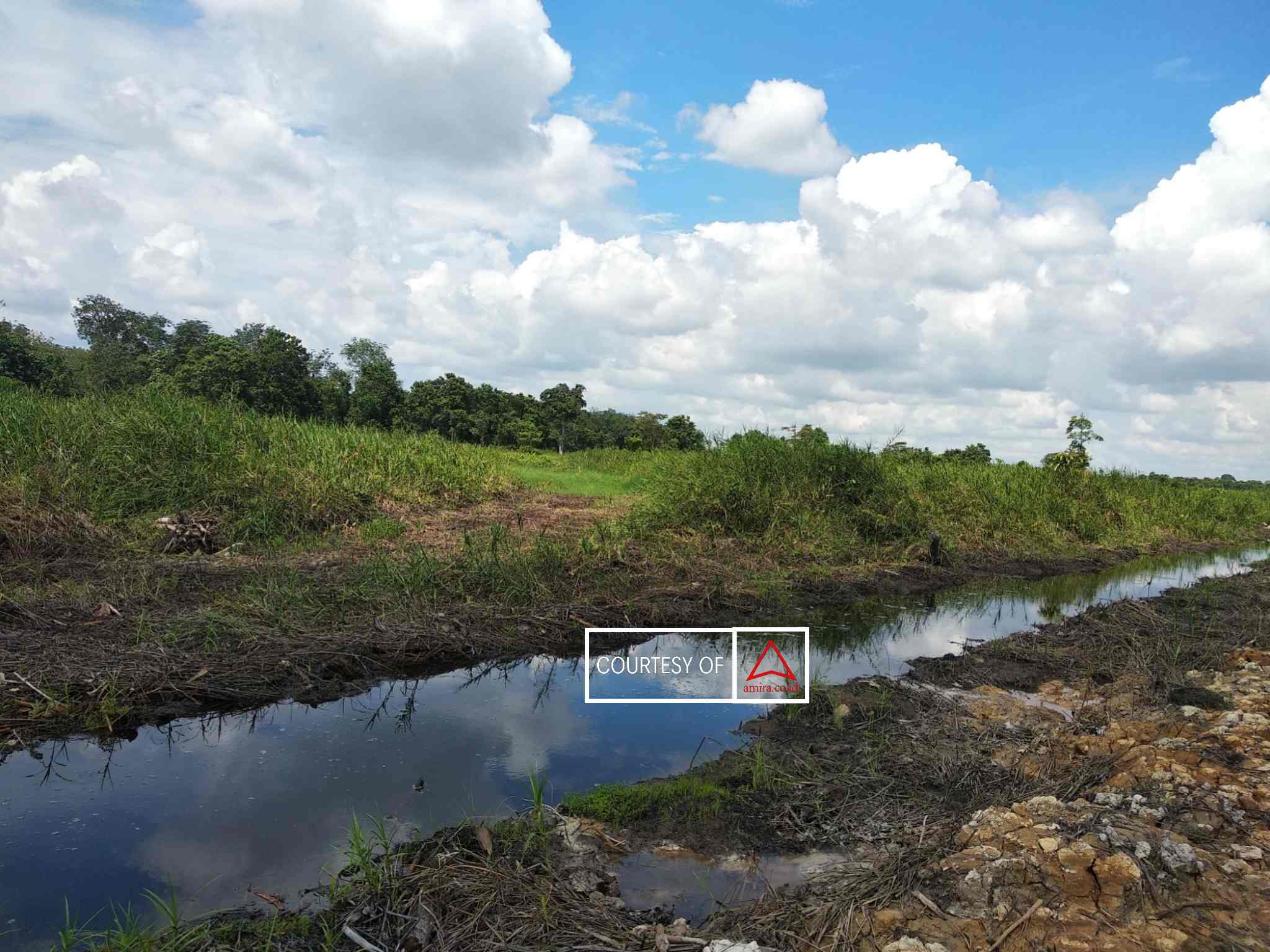 Kanalisasi : Akibatkan Gambut Jadi Kering Dan Mudah Terbakar images