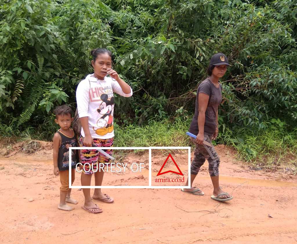 Indigenous People Terhambat e-KTP Di Pemilu 2024 images