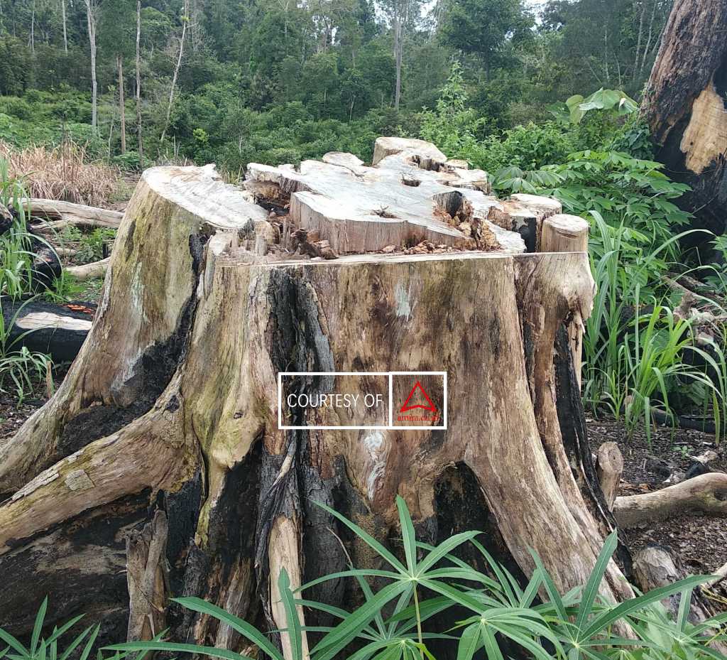Kita Dan Perubahan Iklim Yang Berkeadilan images