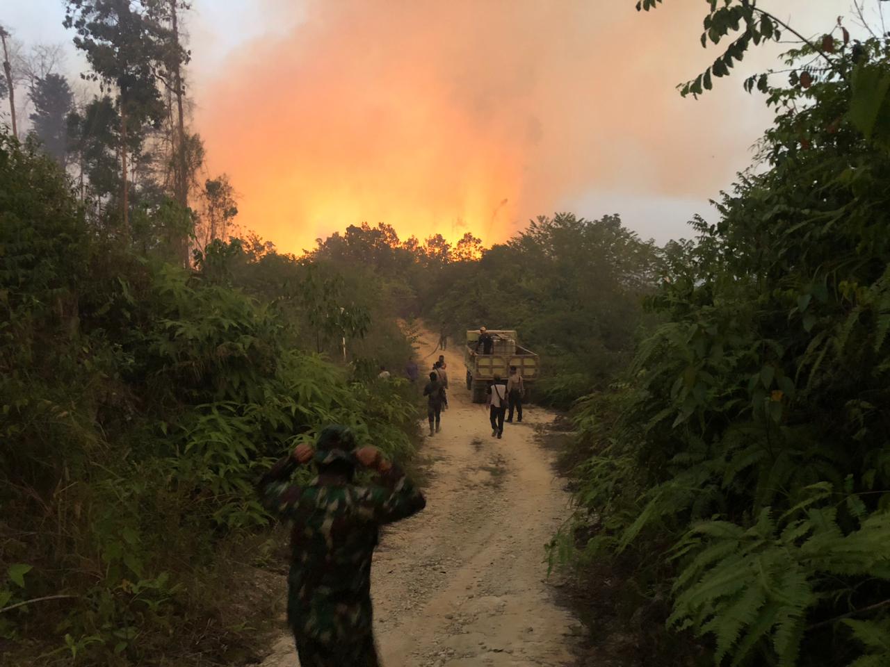 Patroli Padamkan Karhutla Yang Dilakukan Pembalak Hutan images