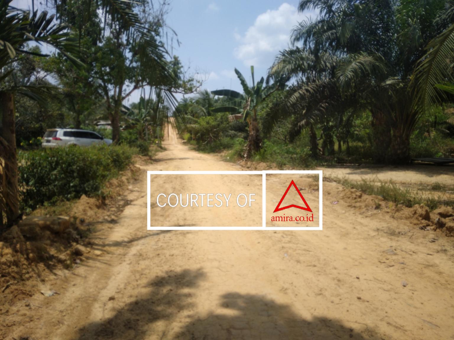 Hutan Harapan – Tanjung Mandiri Intens Jajaki Perhutanan Sosial images