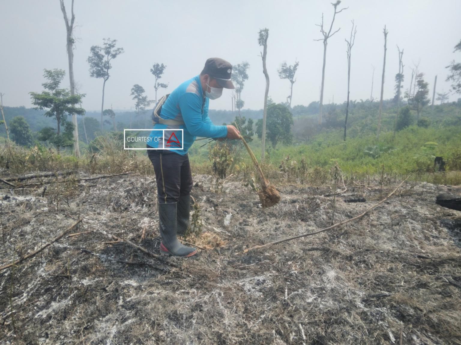 Lagi, Siswa Kembali Dirumahkan images
