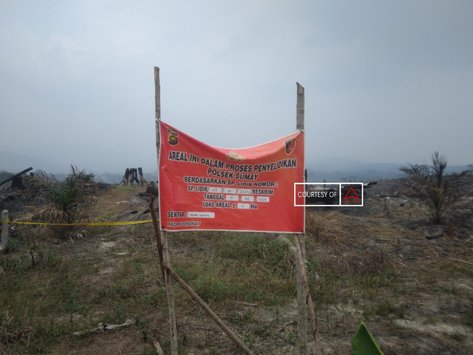 Tebo Perang Terhadap Pelaku Karhutla images