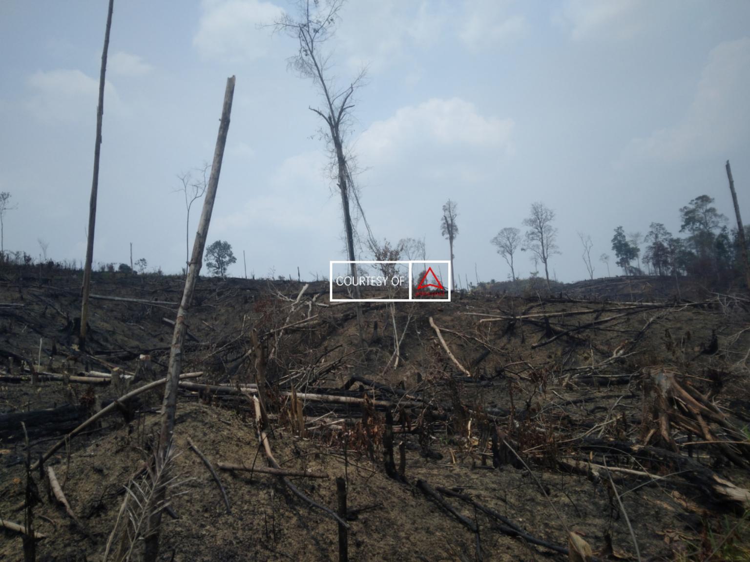 Jangan Senang Dulu, Karhutla Masih Mengintai images