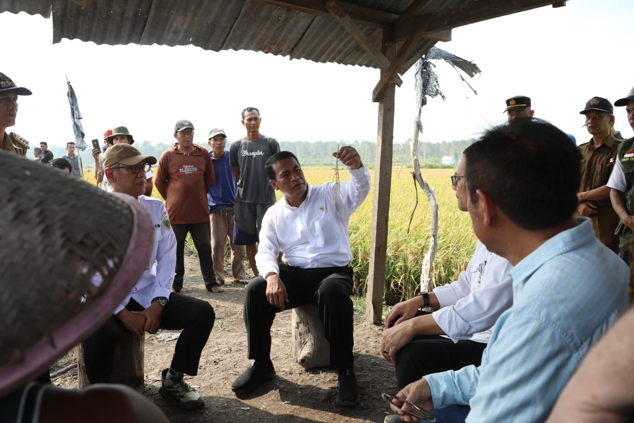 Diperbaiki, Regulasi Pupuk Subsidi Untuk Petani images