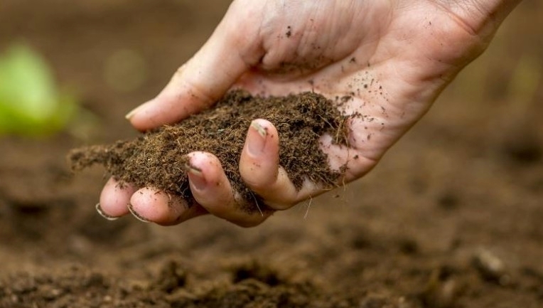 Do It Yourself : Atasi Banjir Perkotaan Dengan Biopori images