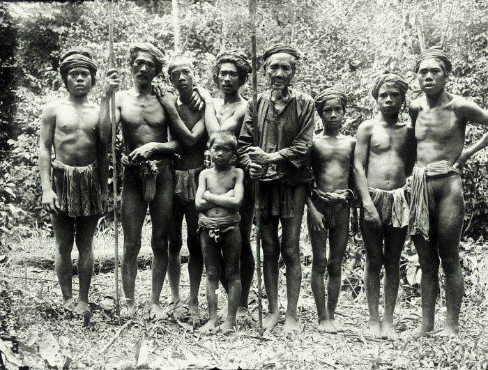 Orang Rimba Dan Pemilu images