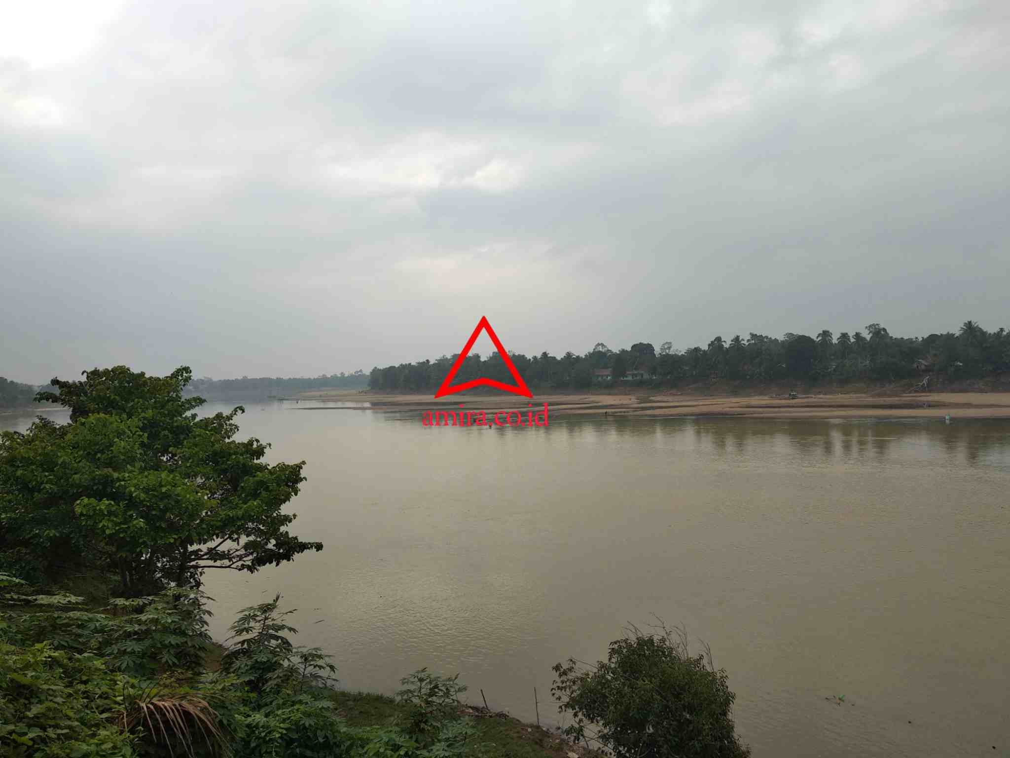 Buaya; Saudara Di Sungai images