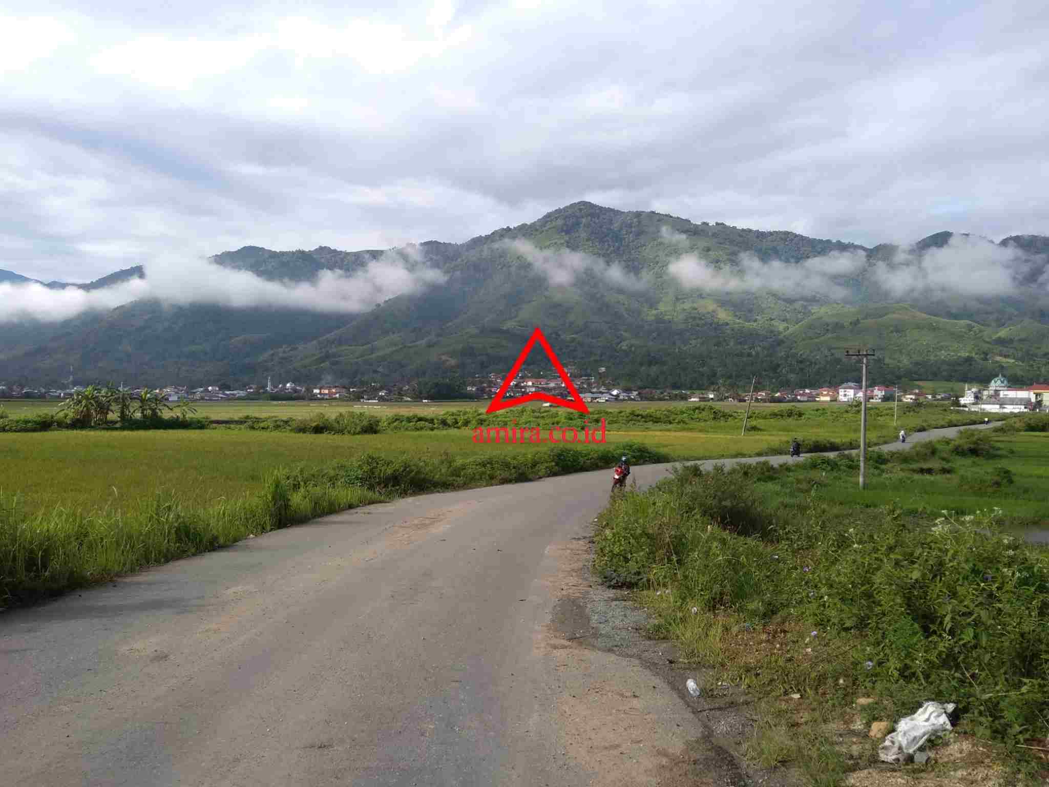 Orang Pendek; Mencari Yang Tak Dapat Dicari images