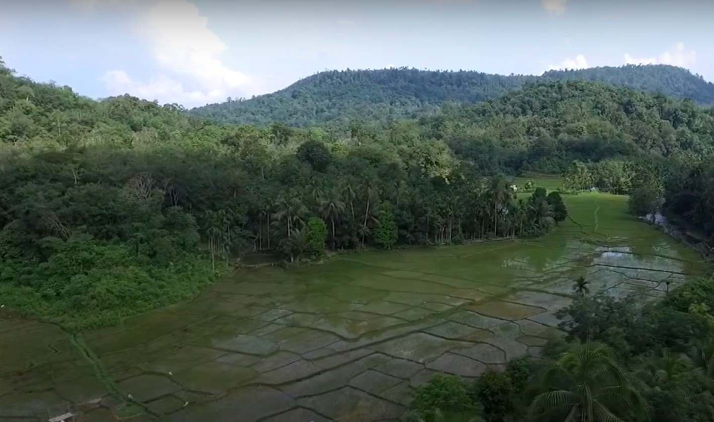 Tambang Illegal Yang Tak Pernah Berhenti images