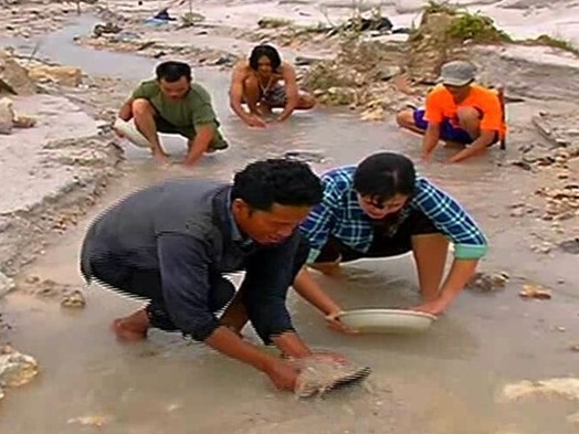 Ngelimbang Timah Nusantara images