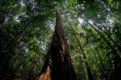 Sumatra; Jajaran Gunung dan Barisan Bukit images