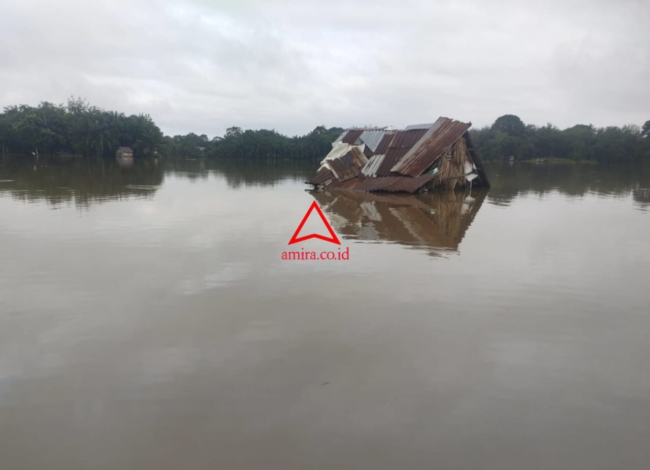 Banjir Di Jambi Renggut Korban Jiwa images