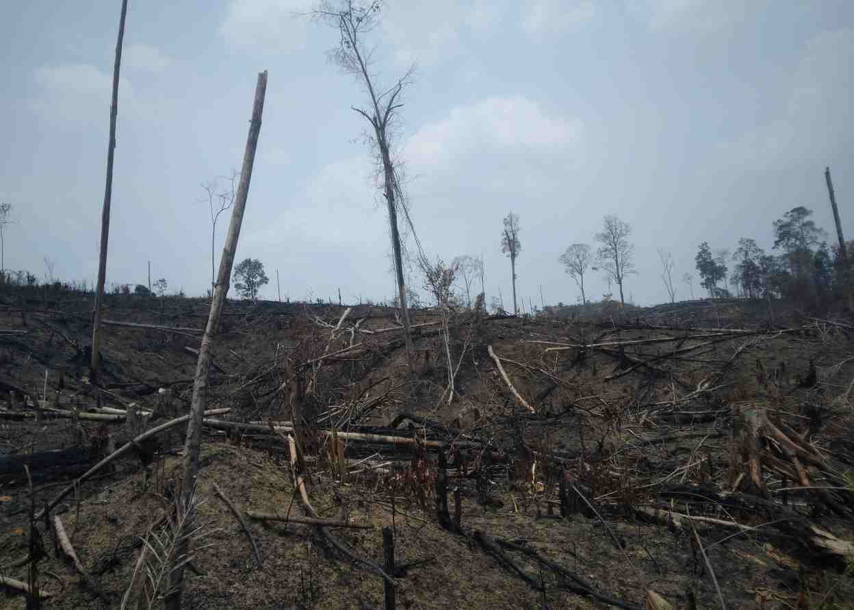 Juli, Puncak Musim Kemarau images