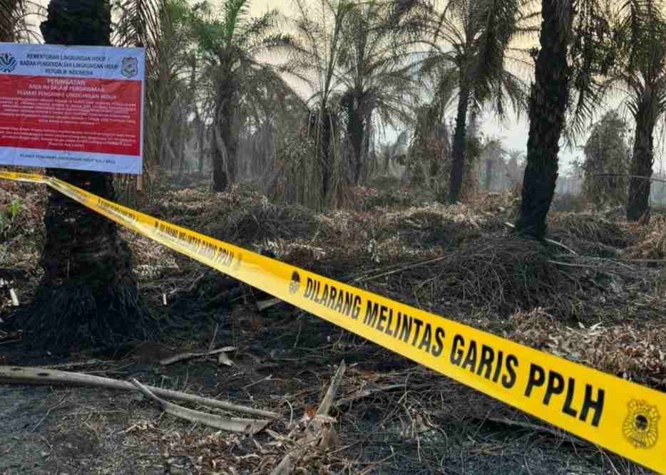 Jangan Coba “Bermain Api” Di Riau images