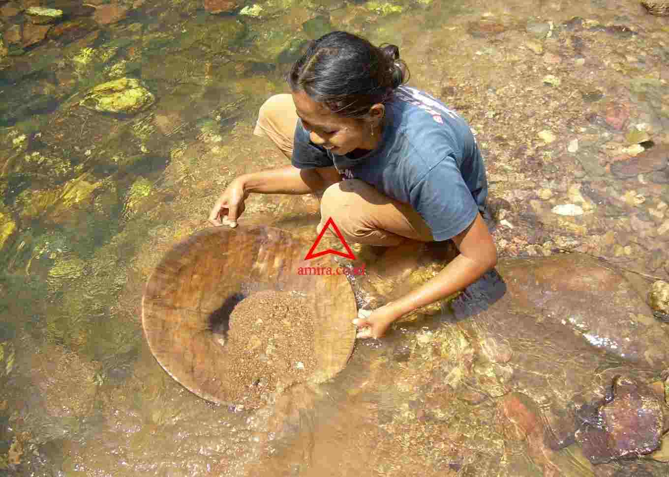 Mencari Emas Di Pulau Emas images