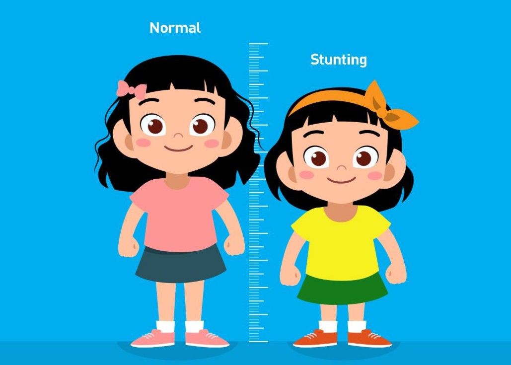 Stunting Masih Jadi Persoalan Di Jambi images