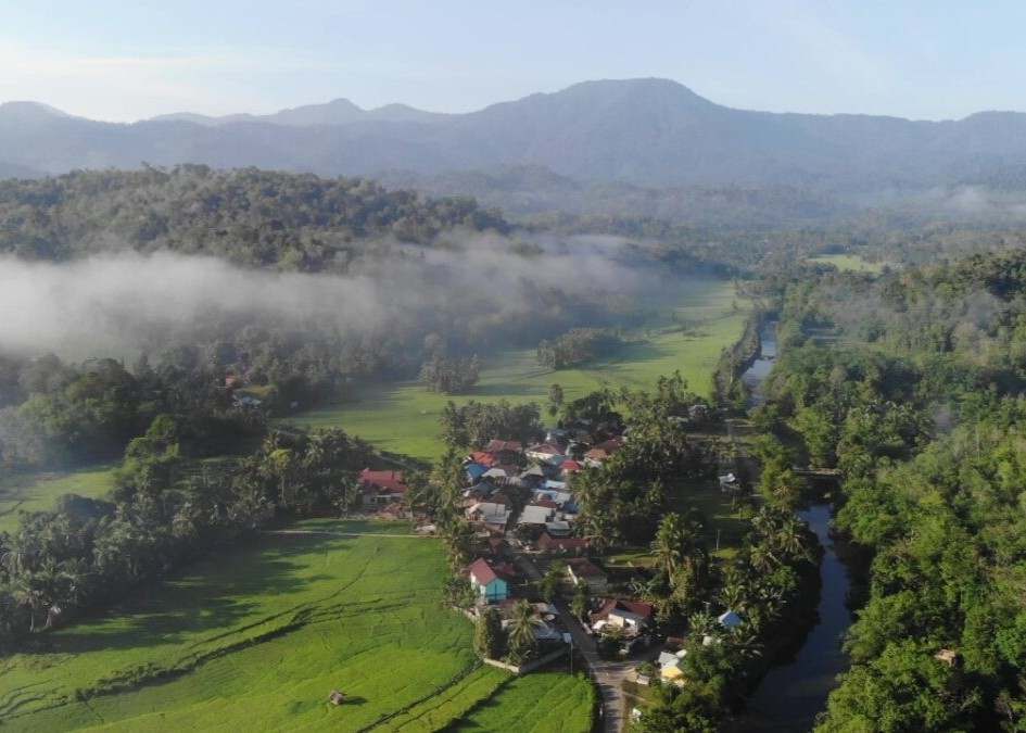 Antara Sawit, Tambang Dan Bencana Alam images