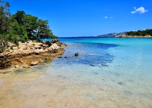 Putri Duyung, Apakah Nyata? images