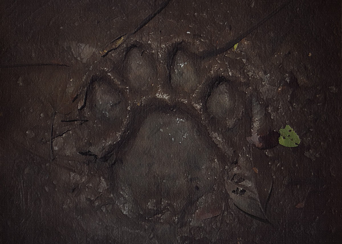 Seturut Tradisi Terhadap Harimau Di Aceh images