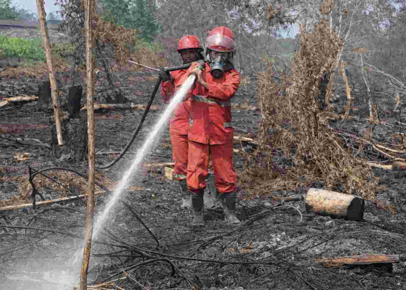 Empat TSK Karhutla Diamankan images