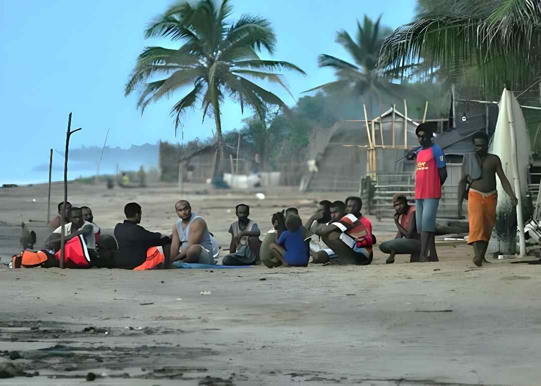 Papua Selatan Dalam Kampanye images