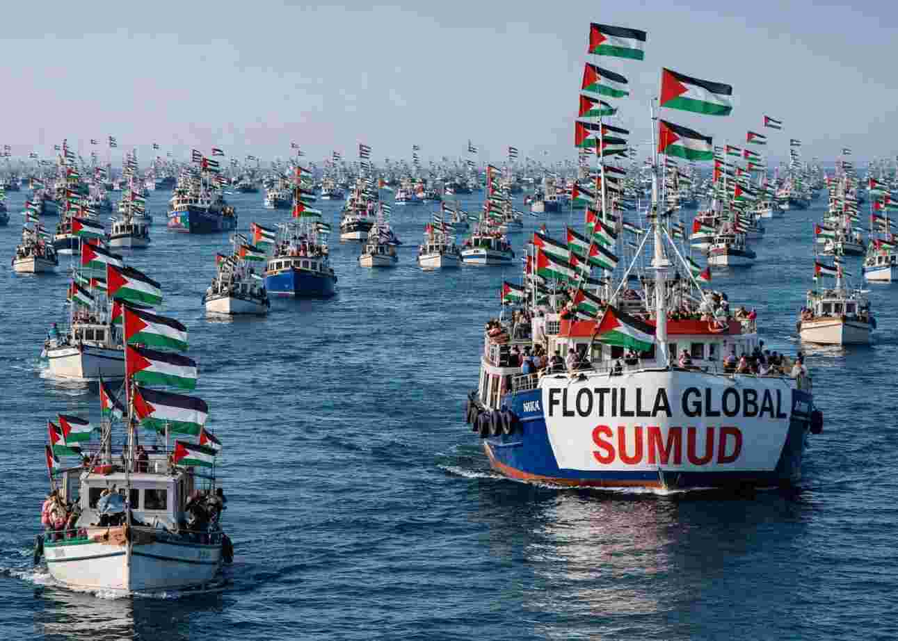 Bebaskan Relawan GSF images
