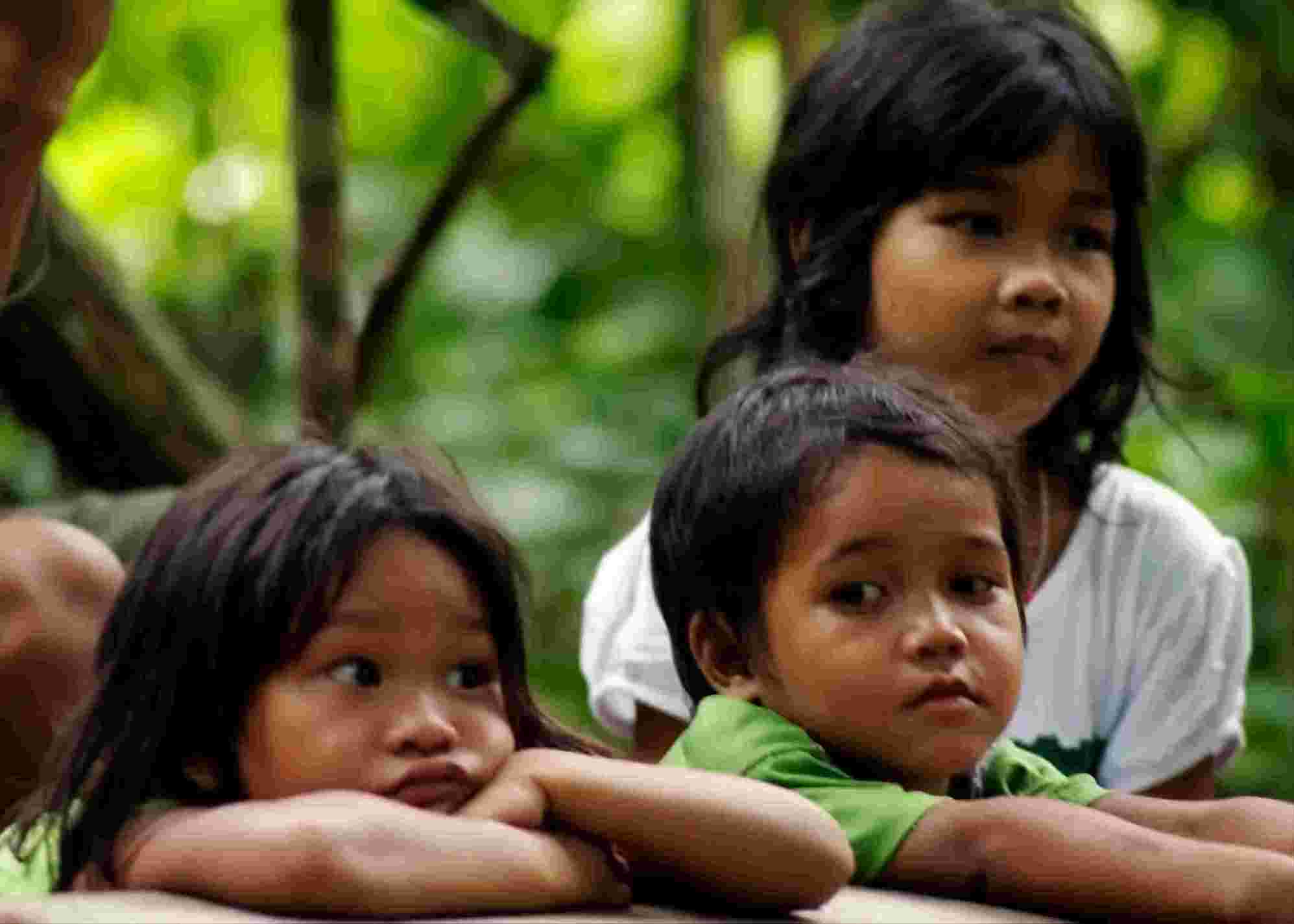 Orang Kubu Dari Batang Leko images