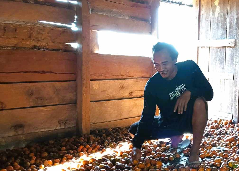 Mengamati Tananam Dengan Aplikasi Reconnect images