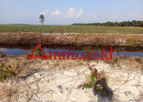 “Api Dalam Sekam” Di Danau Lamo images