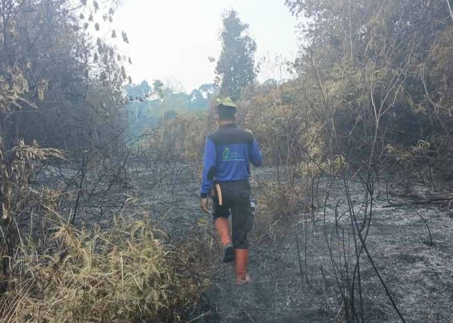 Hutan Harapan Dukung Proses Penyidikan Karhutla images